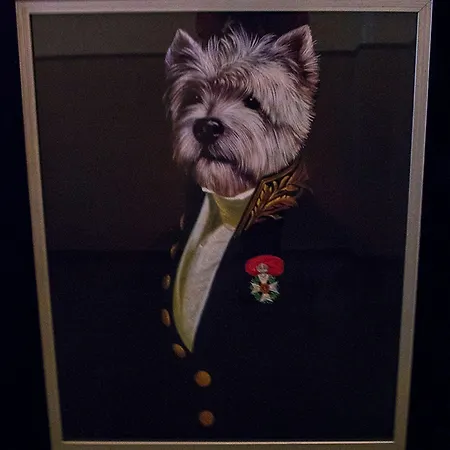 Victoria Perrache Confluence